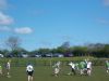 Action from the Hurling Feile nGael Semi Final